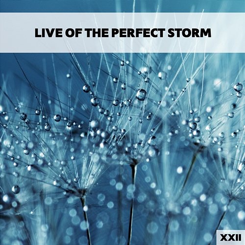 Live Of The Perfect Storm XXII Various Artists