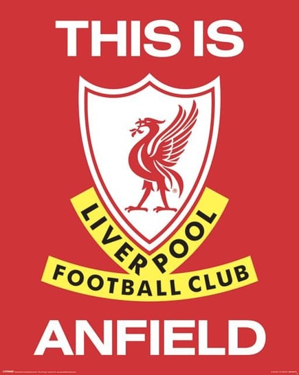 Liverpool FC This Is Anfield - plakat 40x50 cm Liverpool FC
