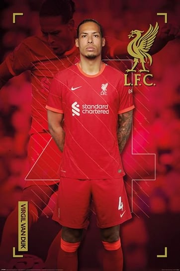 LIVERPOOL FC (VIRGIL VAN DIJK) plakat 61x91cm Liverpool FC