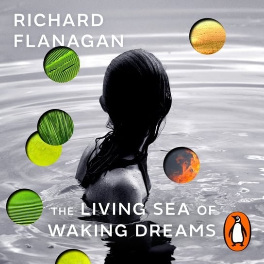 Living Sea of Waking Dreams Flanagan Richard