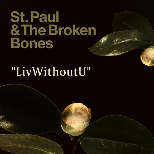 LivWithoutU St. Paul & The Broken Bones