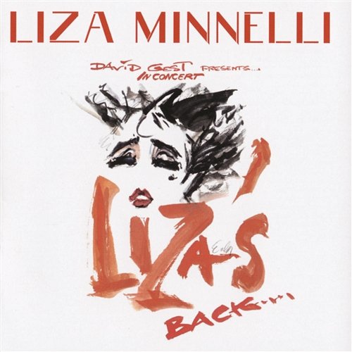 Something Wonderful Liza Minnelli