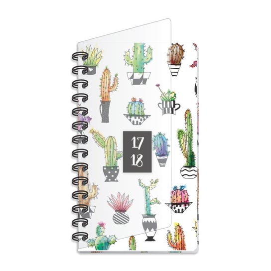 Lizard, kalendarz książkowy 2017/2018, Cactus Lizard