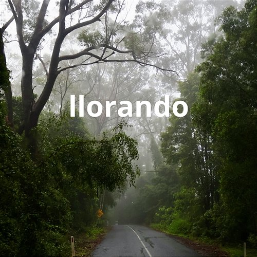 llorando La Freza Rd