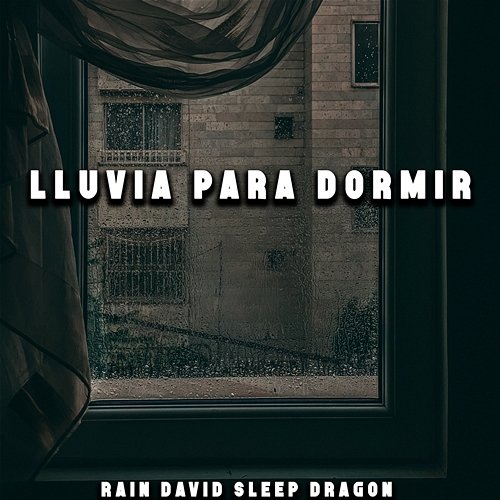 Lluvia para Dormir Rain David Sleep Dragon