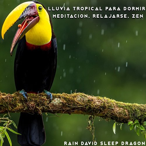 Lluvia Tropical para Dormir, Meditacion, Relajarse, Zen Rain David Sleep Dragon