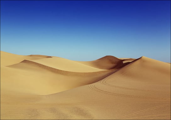 Located in the southeast corner of California, the Imperial Sand Dunes are the largest mass of sand dunes in the state, Carol Highsmith - plakat 59,4x42 cm Galeria Plakatu