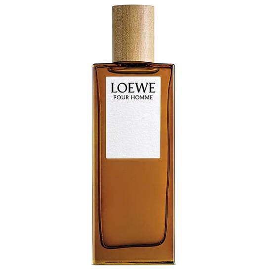 Loewe, Pour Homme , Woda toaletowa dla mężczyzn, 100 ml Loewe