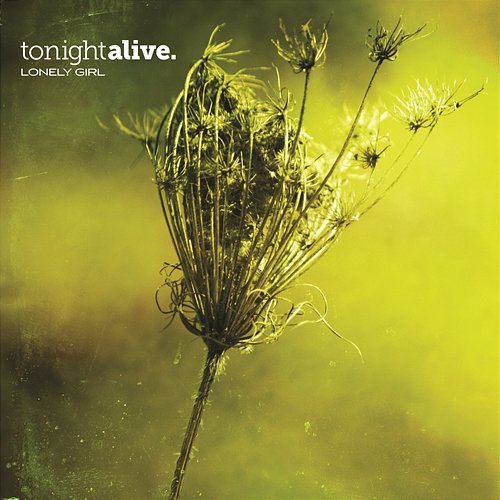 Lonely Girl Tonight Alive