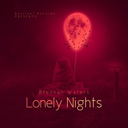 Lonely Nights Brennan Waters