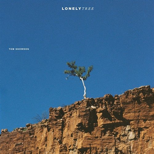 Lonely Tree Tom Snowdon