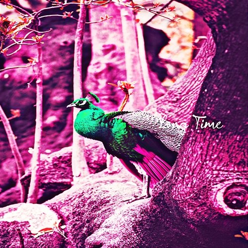 Long Time Erik Kehoe