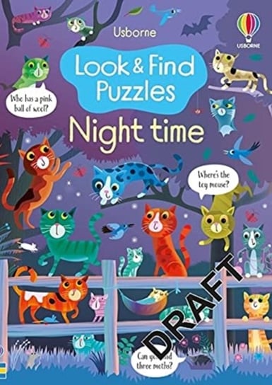 Look and Find Puzzles Night time Robson Kirsteen