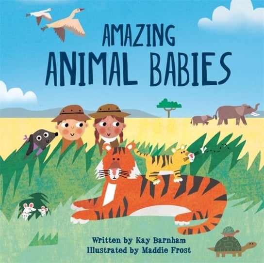 Look and Wonder: Amazing Animal Babies Barnham Kay
