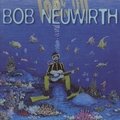 Look Up Bob Neuwirth