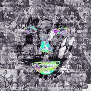 Looking For Faces Vices