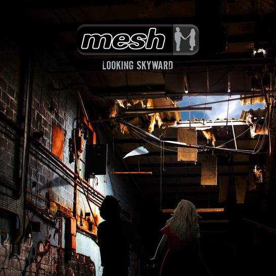 Looking Skyward Mesh