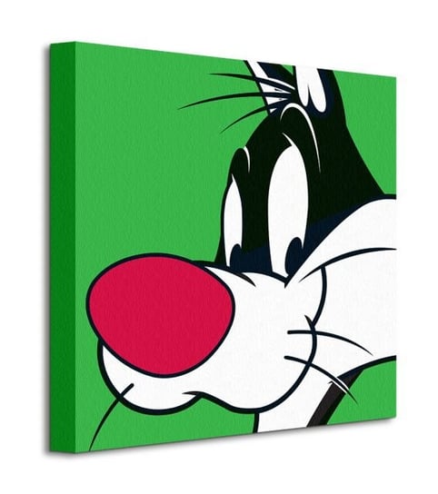 Looney Tunes Sylvester - obraz na płótnie LOONEY TUNES