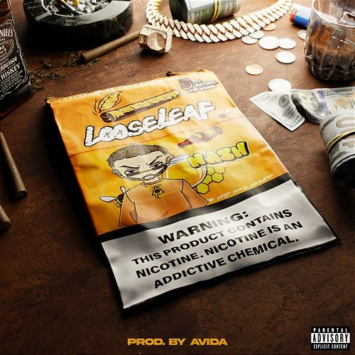 Looseleaf Nash, Avida