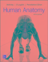 LooseLeaf for Human Anatomy O'loughlin Valerie, Pennefather-O'brien Elizabeth