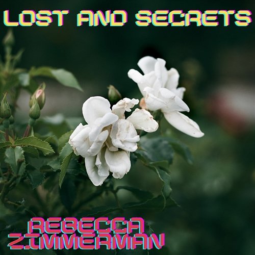 Lost And Secrets Rebecca Zimmerman