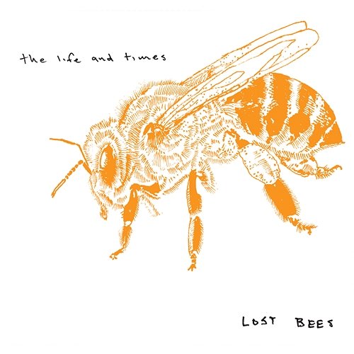Lost Bees The Life And Times