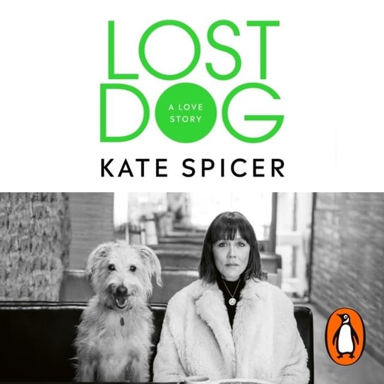 Lost Dog Spicer Kate