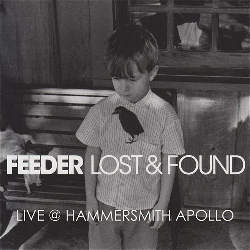 Lost & Found Feeder