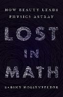 Lost in Math Hossenfelder Sabine