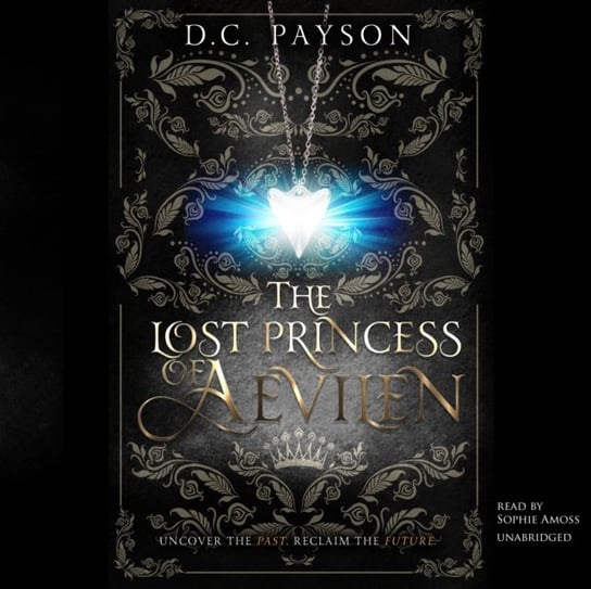Lost Princess of Aevilen Payson D.C.
