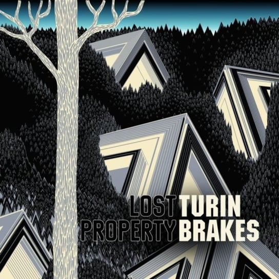 Lost Property, płyta winylowa Turin Brakes