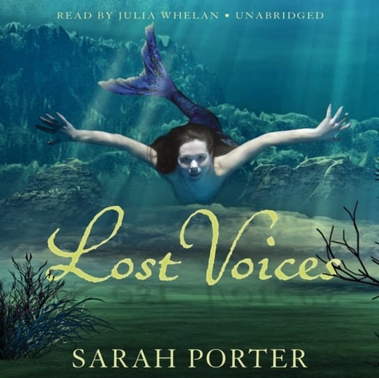 Lost Voices Porter Sarah