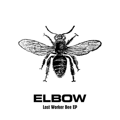 Lost Worker Bee - EP Elbow