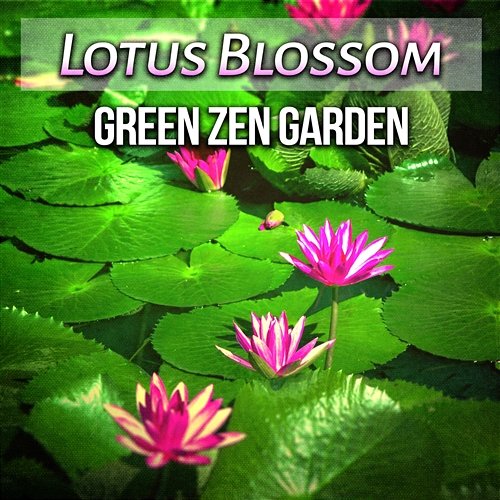 Lotus Blossom: Green Zen Garden, 50 Shades of New Age Music for Asian Meditation, Feng Shui, Balance & Flow (Tibetan Bowls, Birds, Flute Music) Garden of Zen Music