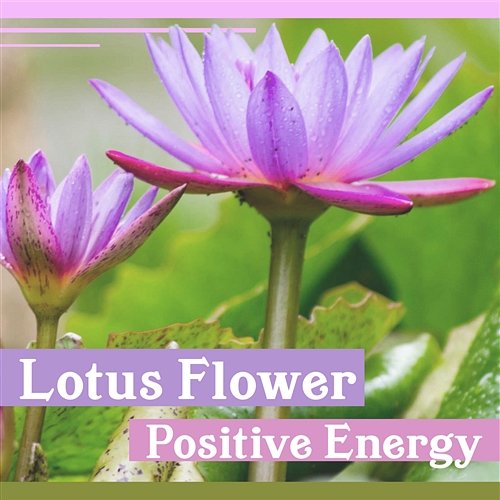 Lotus Flower: Positive Energy - Music for Zen Relaxation, Nature Sounds for Reiki, Chakra Healing, Yoga & Massage Therapy Buddhist Lotus Sanctuary