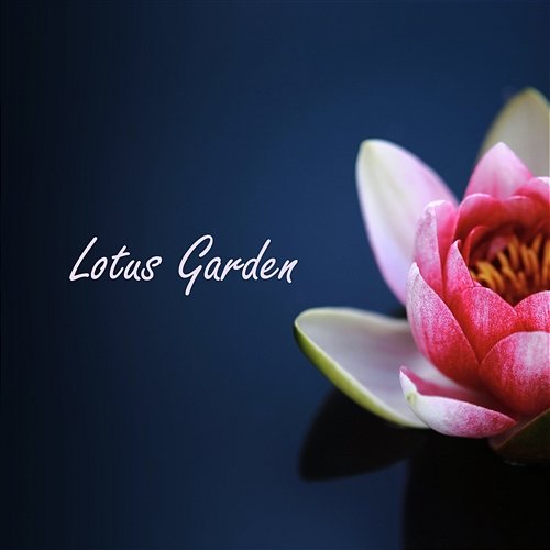 Lotus Garden: Gentle Melodies for Relaxation Meditation, Music for Deep Sleep, Calming Sounds of the Sea, Zen Soothing Sounds of Nature Lotus Flower Music Masters