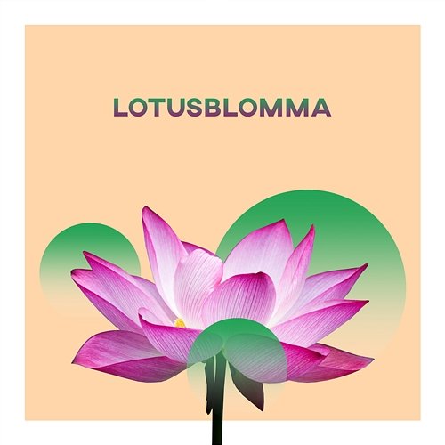 Lotusblomma: Lugna ner och lindra stress, Klardrömmande, Lugn spa musik avkoppling, Andlig förvandling, Reiki effekt Helande Instrumentalmusik Akademi