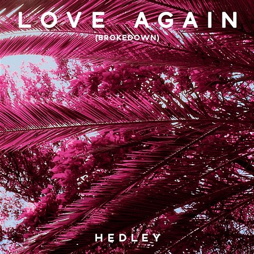 Love Again Hedley