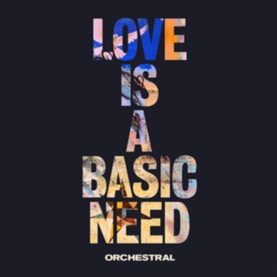 Love Is a Basic Need Embrace