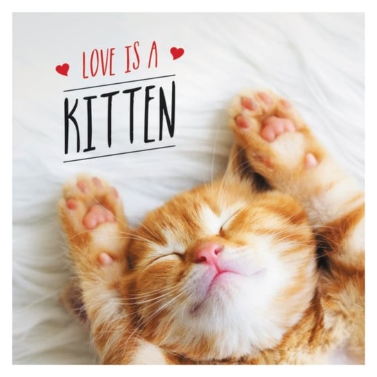 Love is a Kitten: A Cat-Tastic Celebration of the Worlds Cutest Kittens Charlie Ellis
