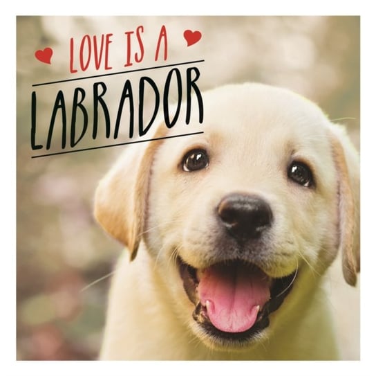 Love is a Labrador: A Lab-Tastic Celebration of the Worlds Favourite Dog Charlie Ellis