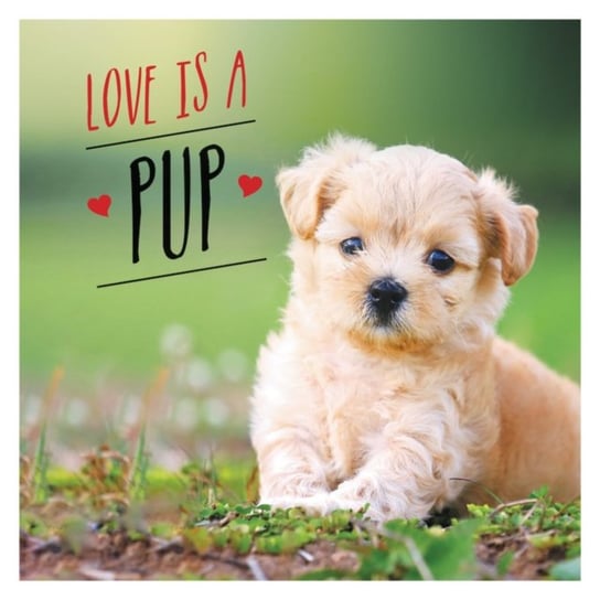 Love is a Pup: A Dog-Tastic Celebration of the Worlds Cutest Puppies Charlie Ellis