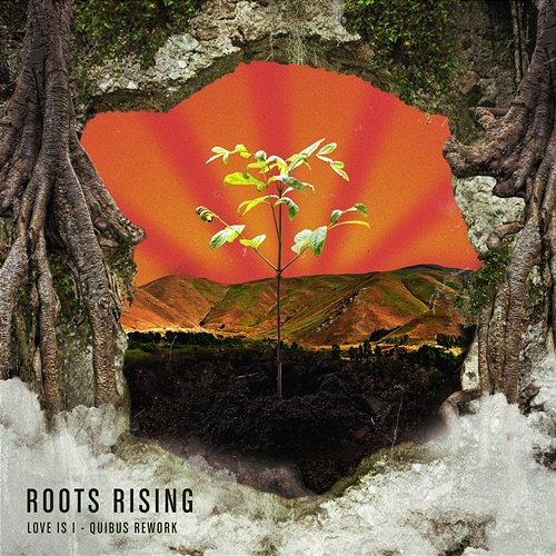 Love is I Quibus, Roots Rising