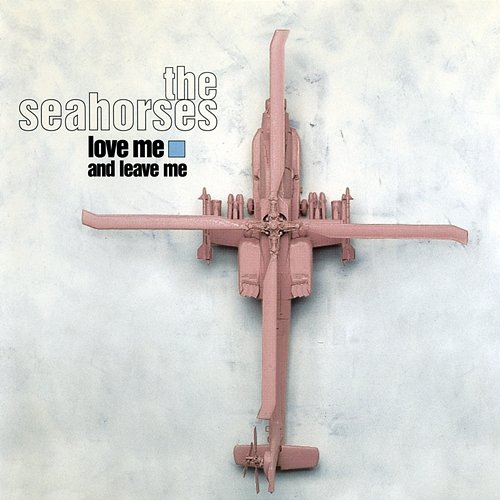 Love Me And Leave Me The Seahorses