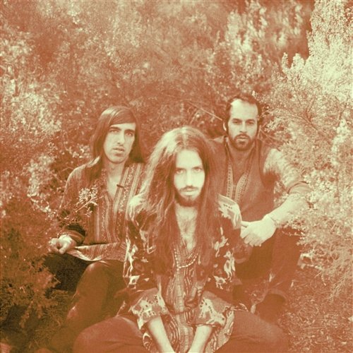 Love Natural Crystal Fighters