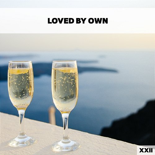 Loved By Own XXII Various Artists