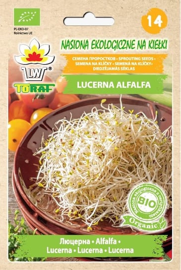 Lucerna Alfalfa - Bio Nasiona Ekologiczne Na Kiełki Toraf