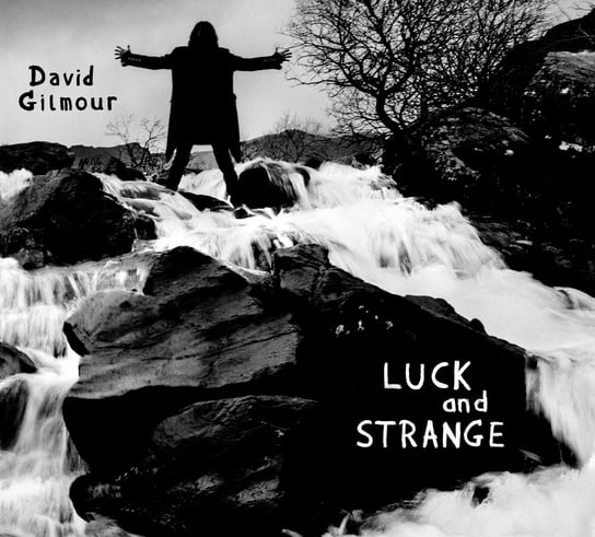 Luck and Strange (srebrny winyl) Gilmour David
