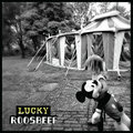 Lucky Roosbeef