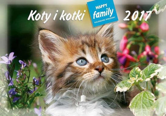 Lucrum, kalendarz rodzinny 2017, Koty i kotki Lucrum